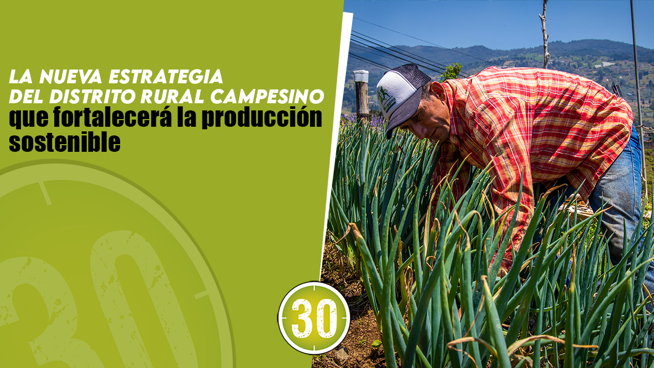 [VIDEO] La estrategia del Distrito Rural Campesino que fortalecerá la ...