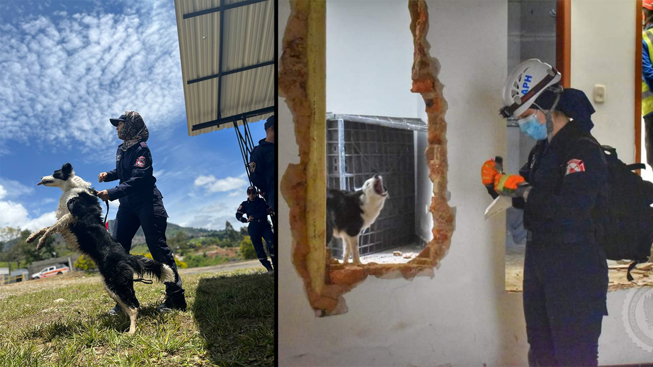 [FOTOS] Sandra y Dasha, el dúo que apoyará labores de rescate en Turquía y Siria