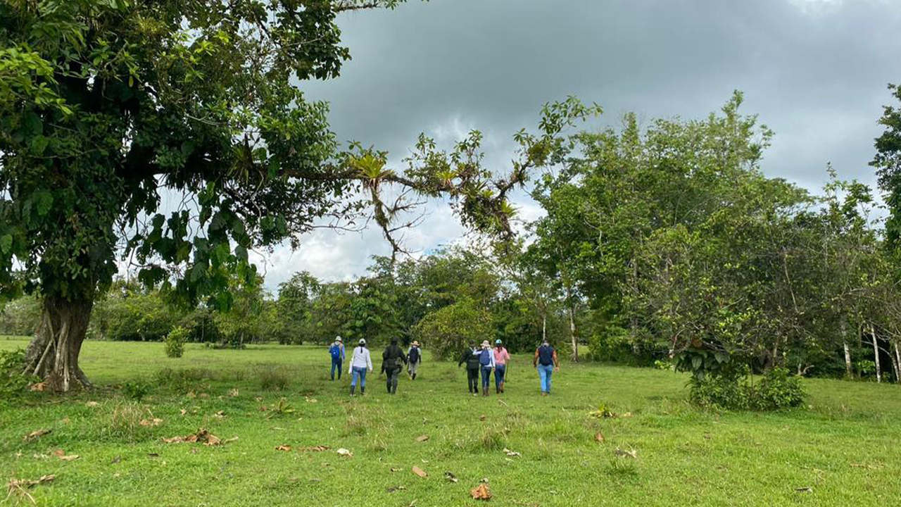 Gobierno Petro compró 3.532 hectáreas de tierra y las entregará a 6.195 familias rurales