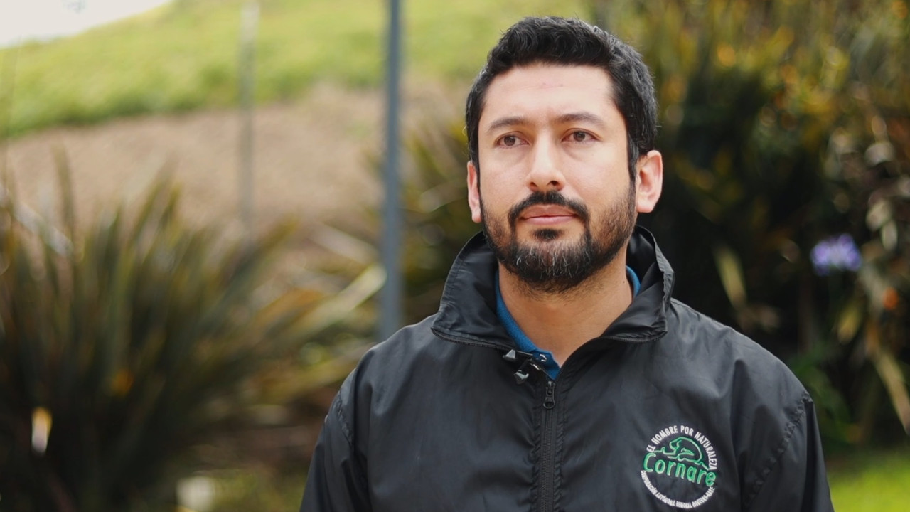 [VIDEO] Autoridad ambiental le pondrá la lupa al caso del tigre que mataron en la Hacienda Nápoles