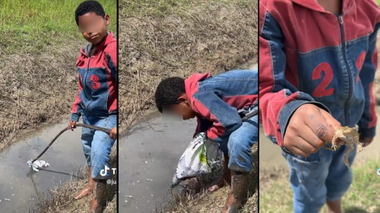 [VIDEO] Un niño en Antioquia 'pesca' sapos para poder comer