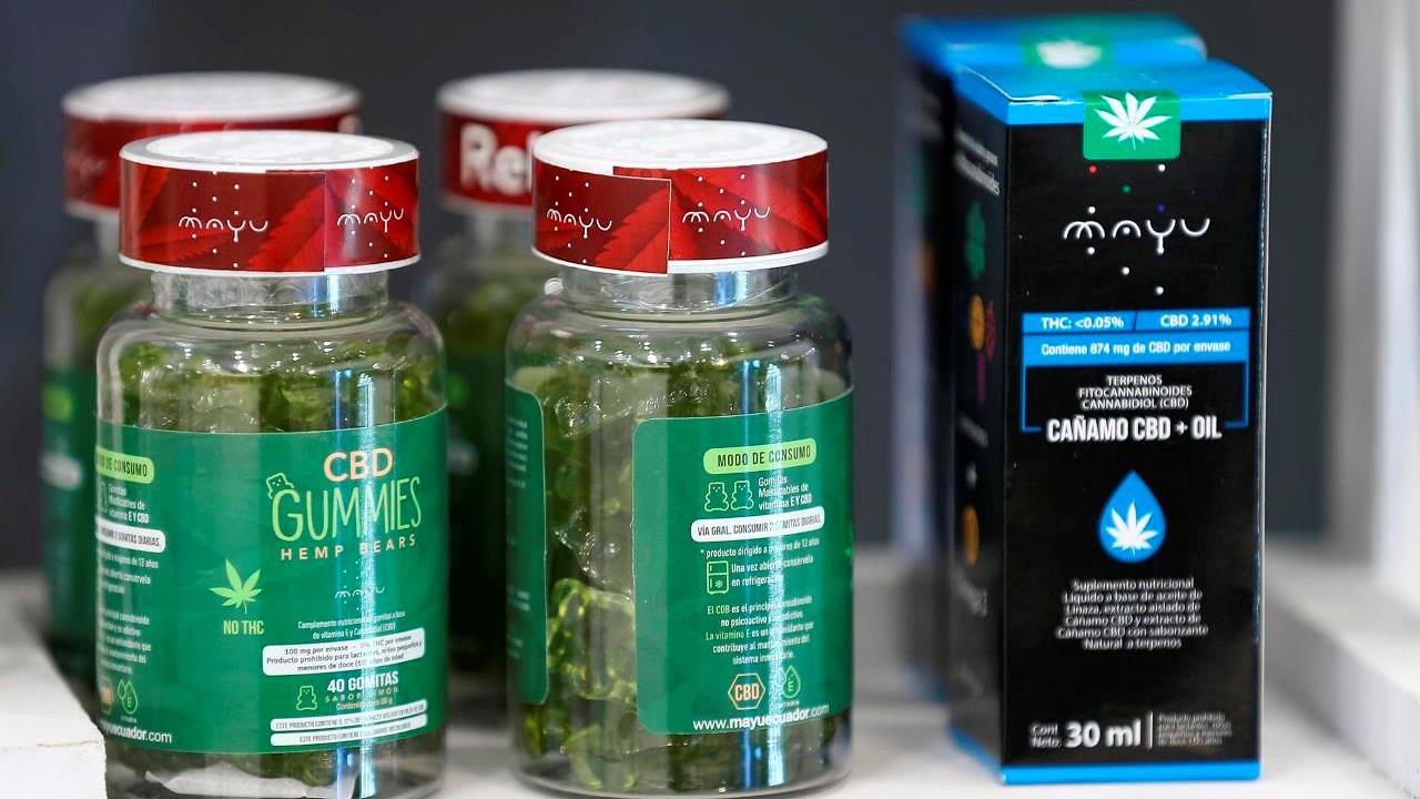 Ecuador acoge un congreso americano de cannabis medicinal con 50 especialistas