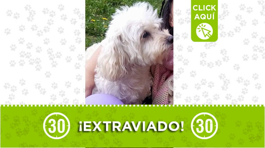 'Lukas' se perdió en Moravia