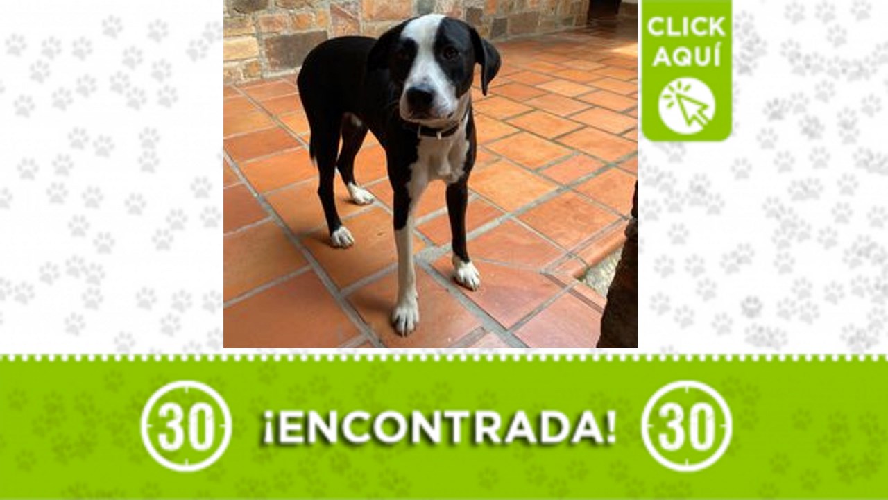 encontrada el retiro