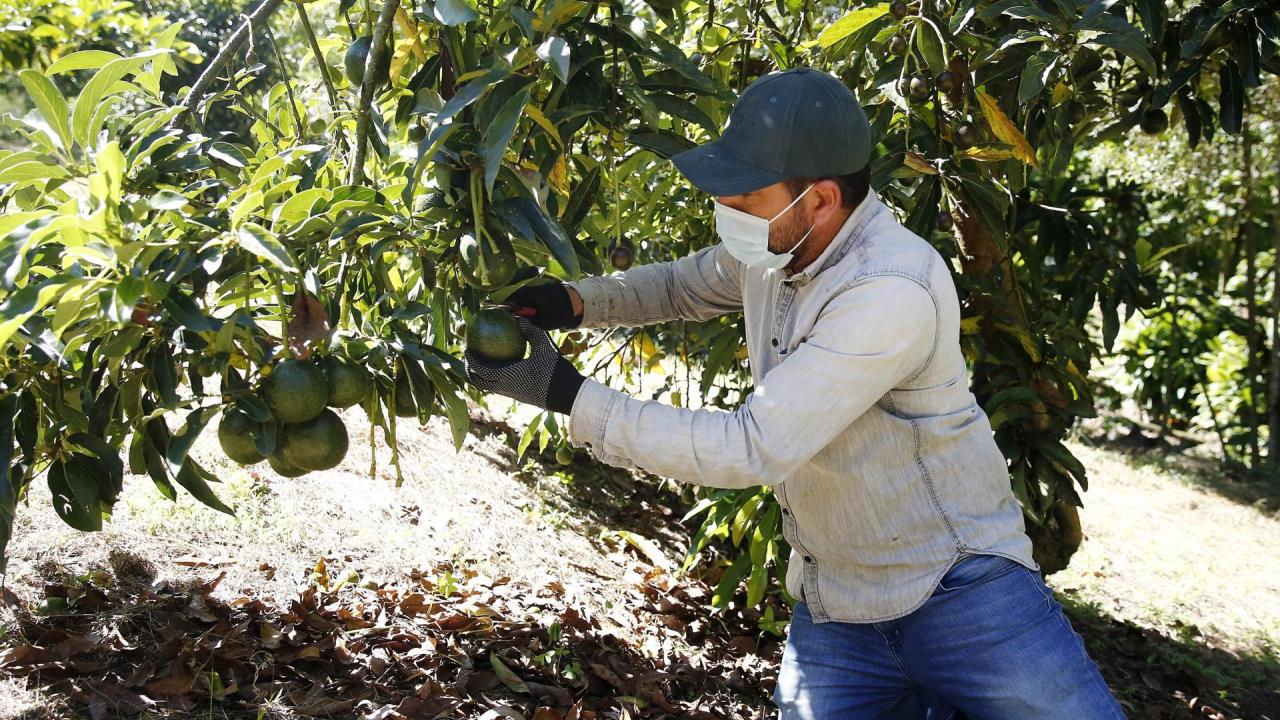 FOTOS: Latinoamérica, de la crisis a la oportunidad tras un año de guerra en Ucrania