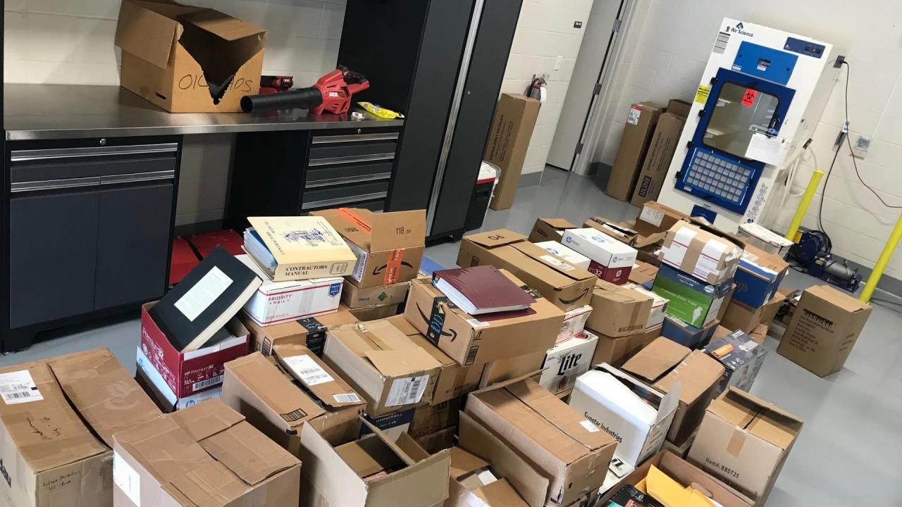 pornografia infantil