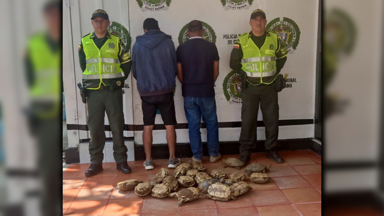 Capturados con 25 hicoteas que iban a vender en Semana Santa