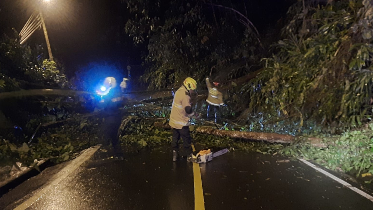 [FOTOS] Manizales: Cierre de vía por caída de árboles