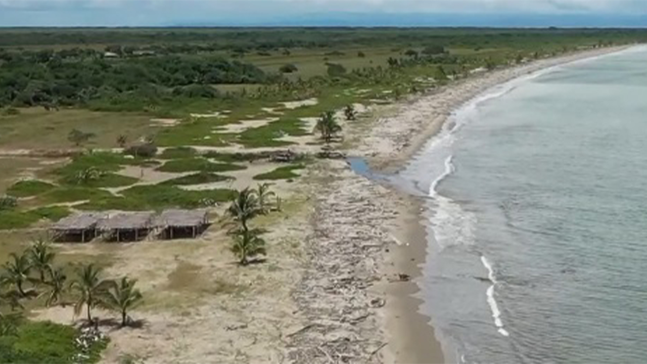 Playa Bobalito de Necoclí seguirá temporalmente cerrada por desove de tortugas marinas