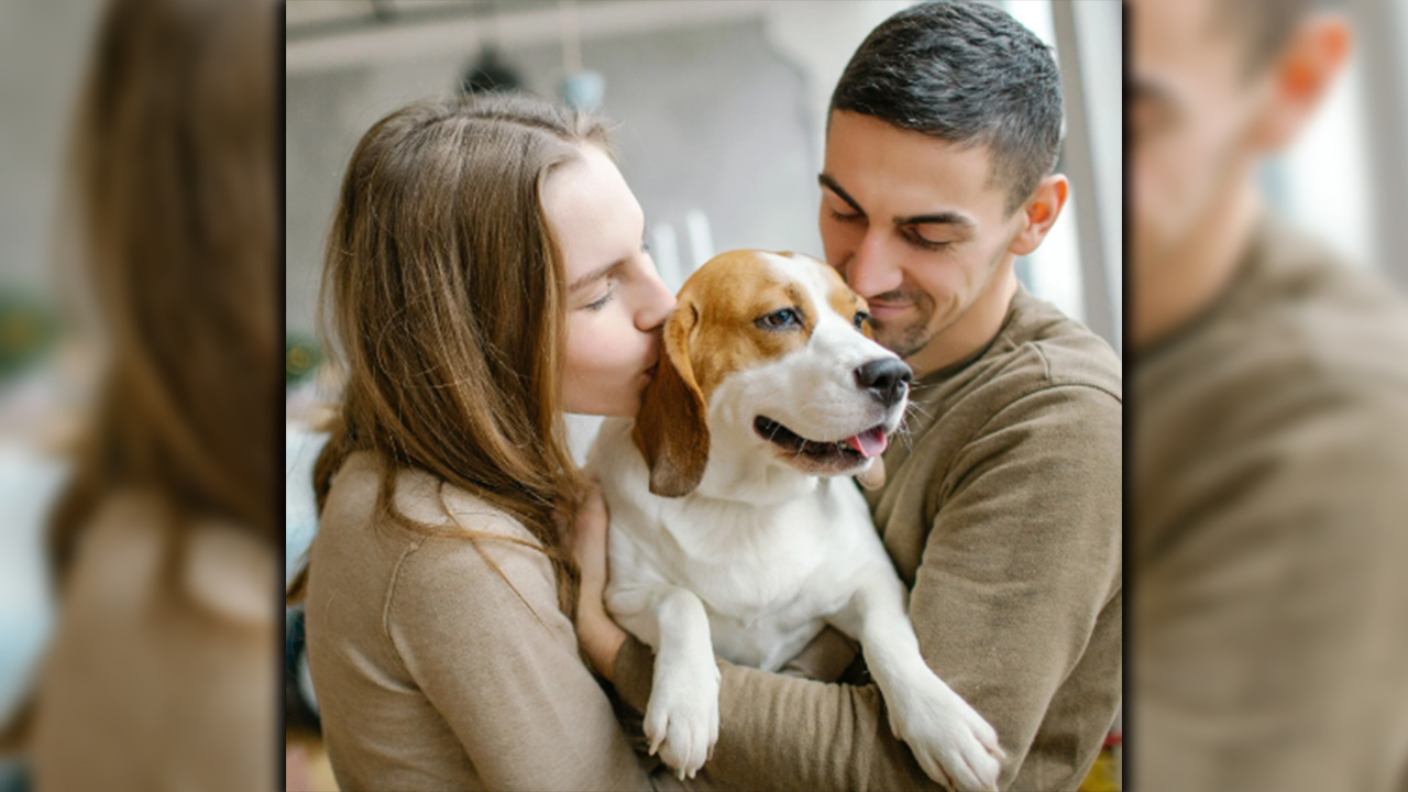 En día anteriores el Tribunal Superior de Bogotá, dijo por primera vez que un perro es integrante de la familia..