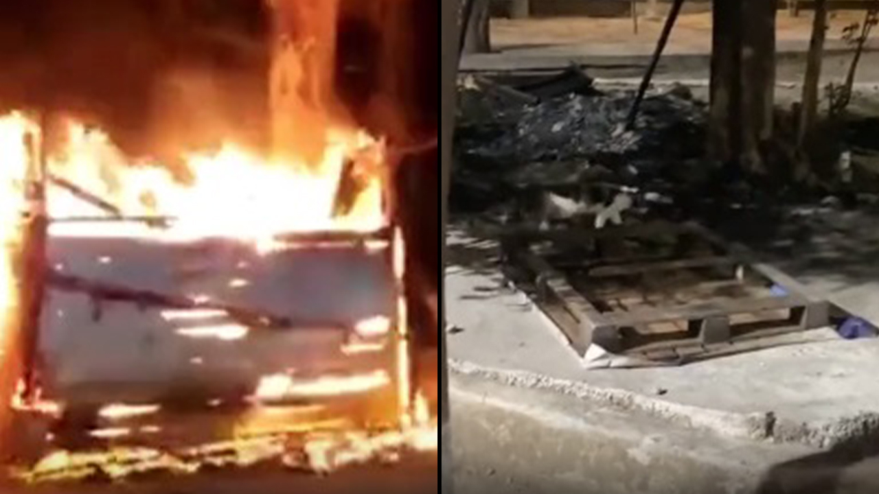 La Fiscalía busca dar con los responsables de la quema masiva de gatos en Santa Marta