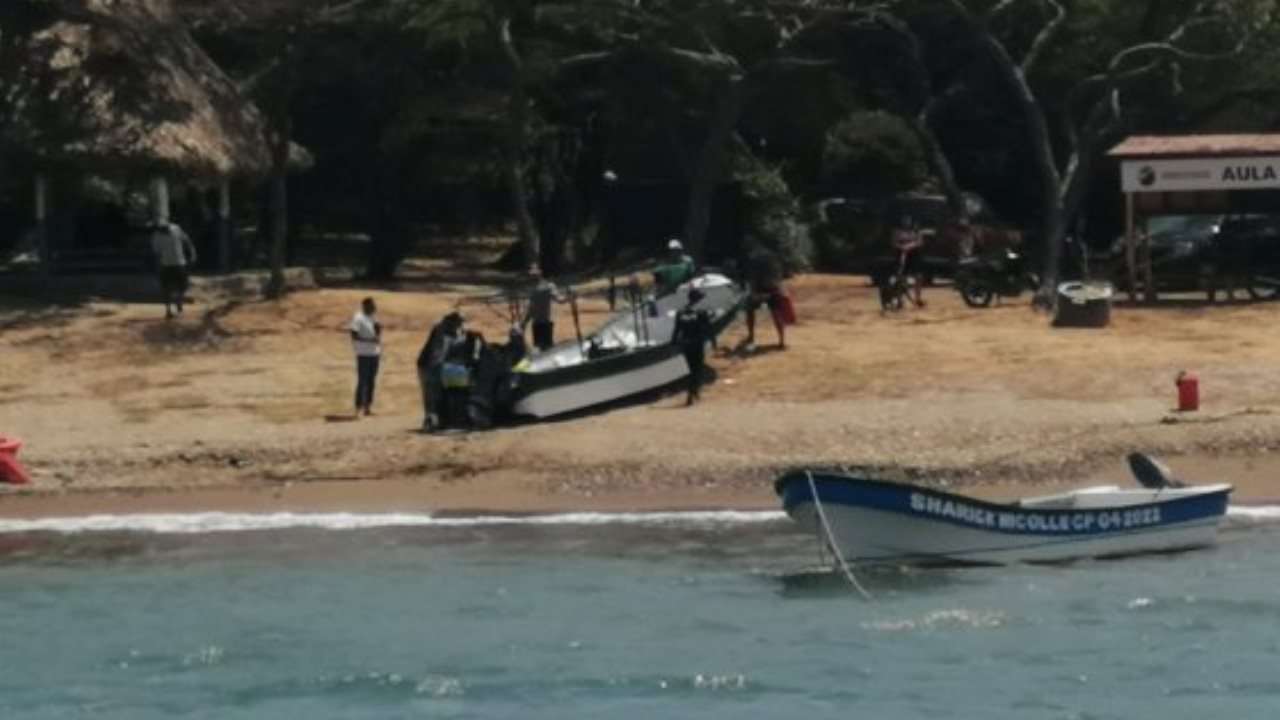 naufragio de la tartamuda rescatada por la armada colombiana