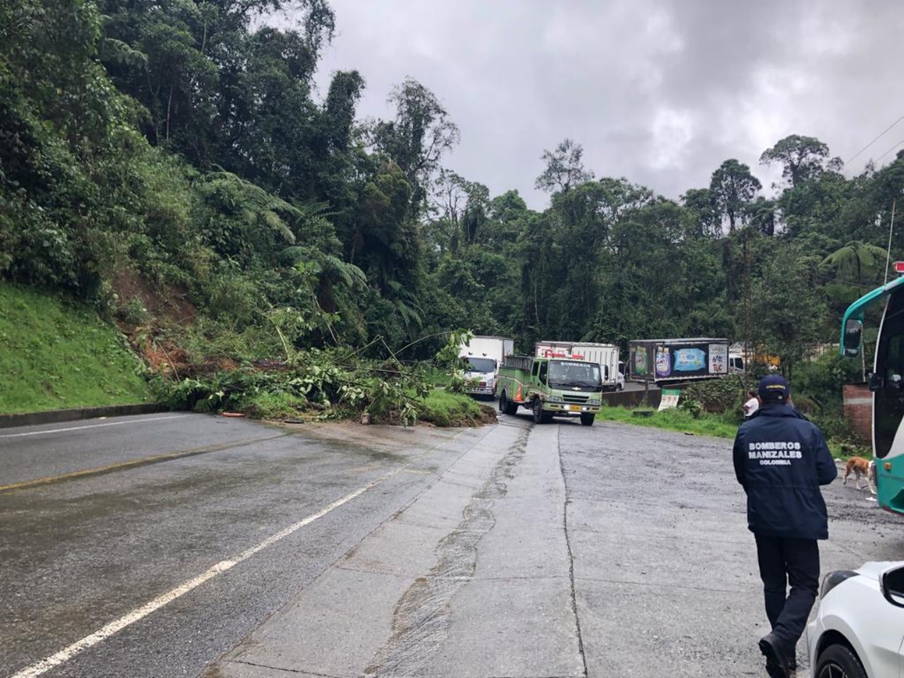manizales 3