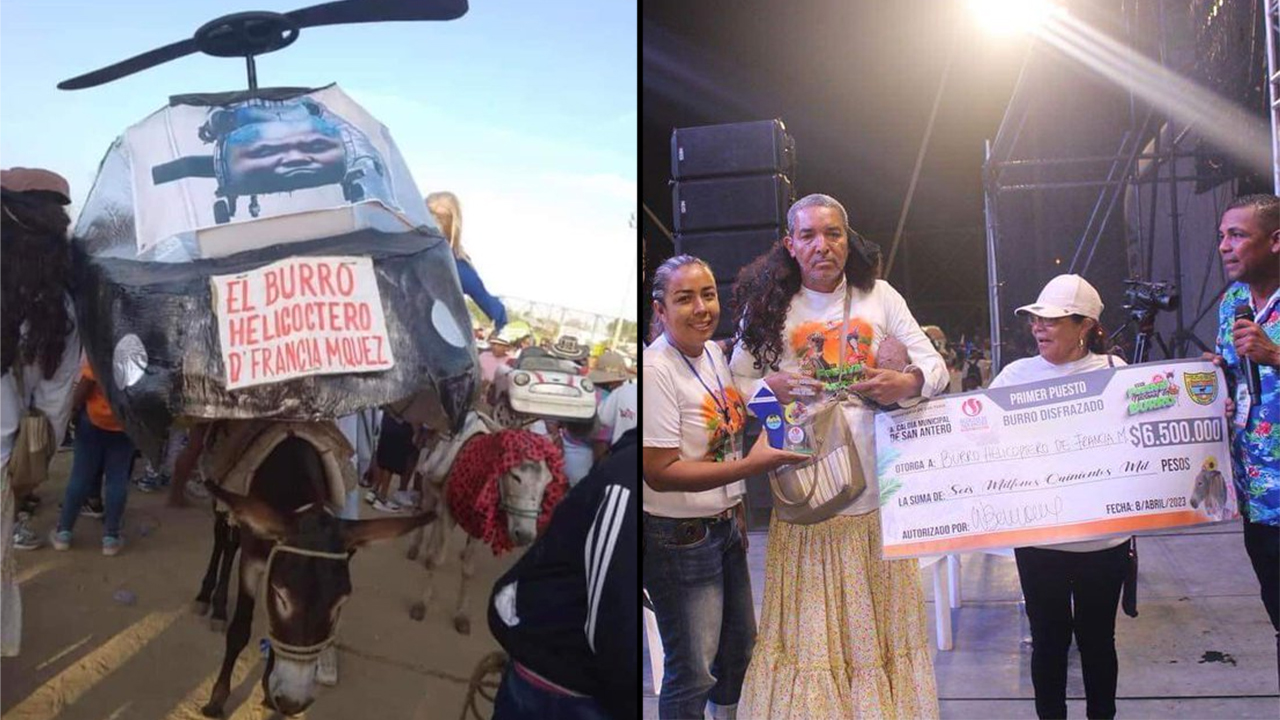 ‘El burro helicóptero de Francia Márquez’ ganó el Festival en San Antero (Córdoba)