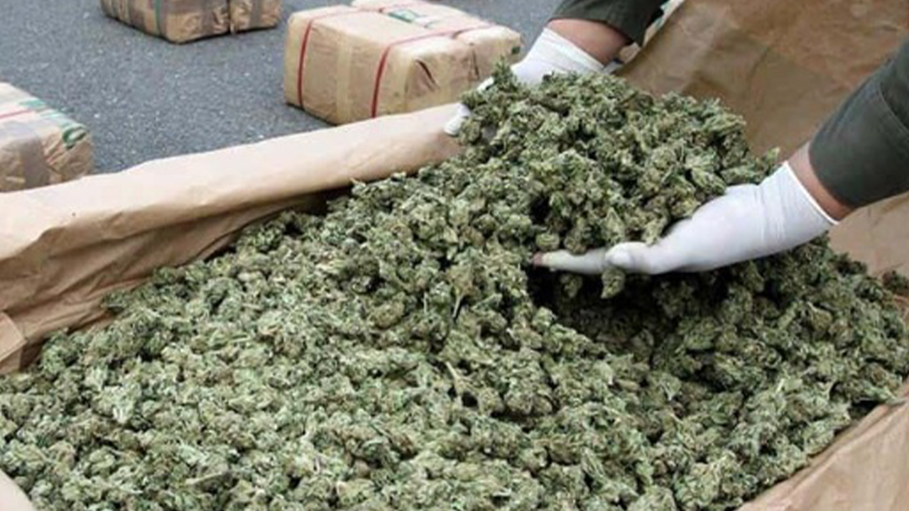 Fiscalías de Chile y Colombia aplican extinción de dominio a red trasnacional de tráfico de marihuana