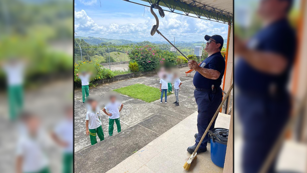 [FOTOS] ¡Qué susto! Dos culebras estaban en el techo de un colegio en Antioquia