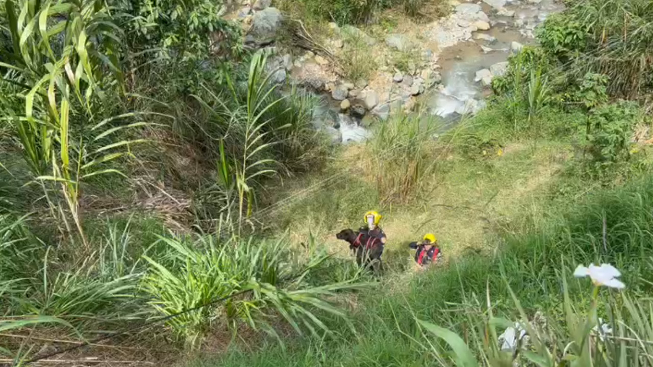 [FOTOS Y VIDEO] Bomberos de La Estrella le salvaron la vida a un perrito