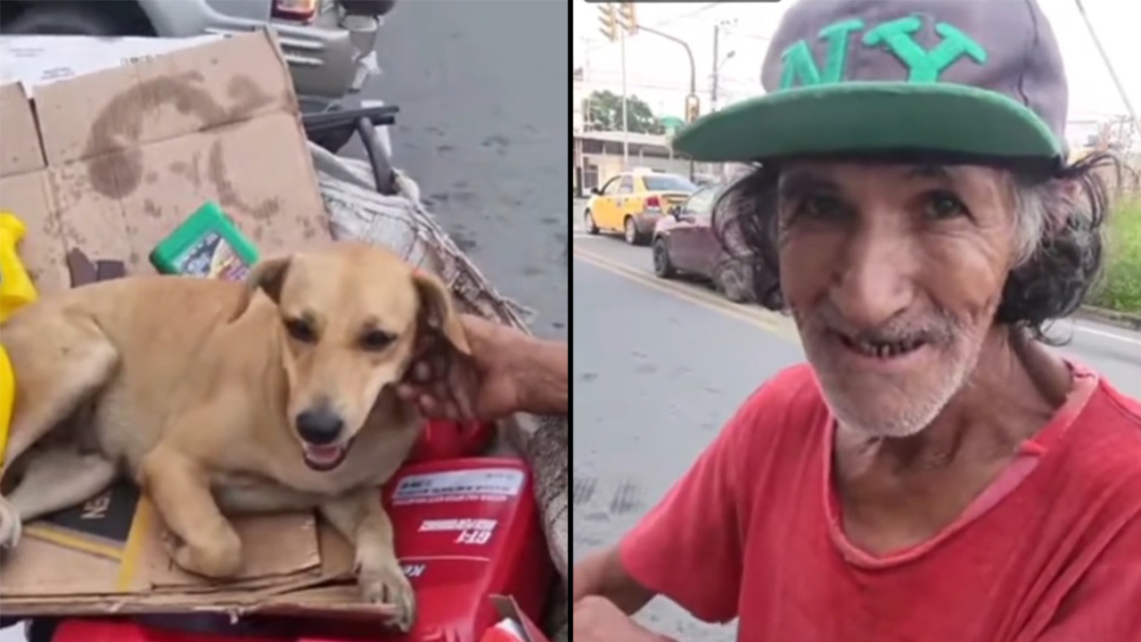 Le ofrecieron plata a un abuelo reciclador por su perrita y lo que respondió arruga el corazón