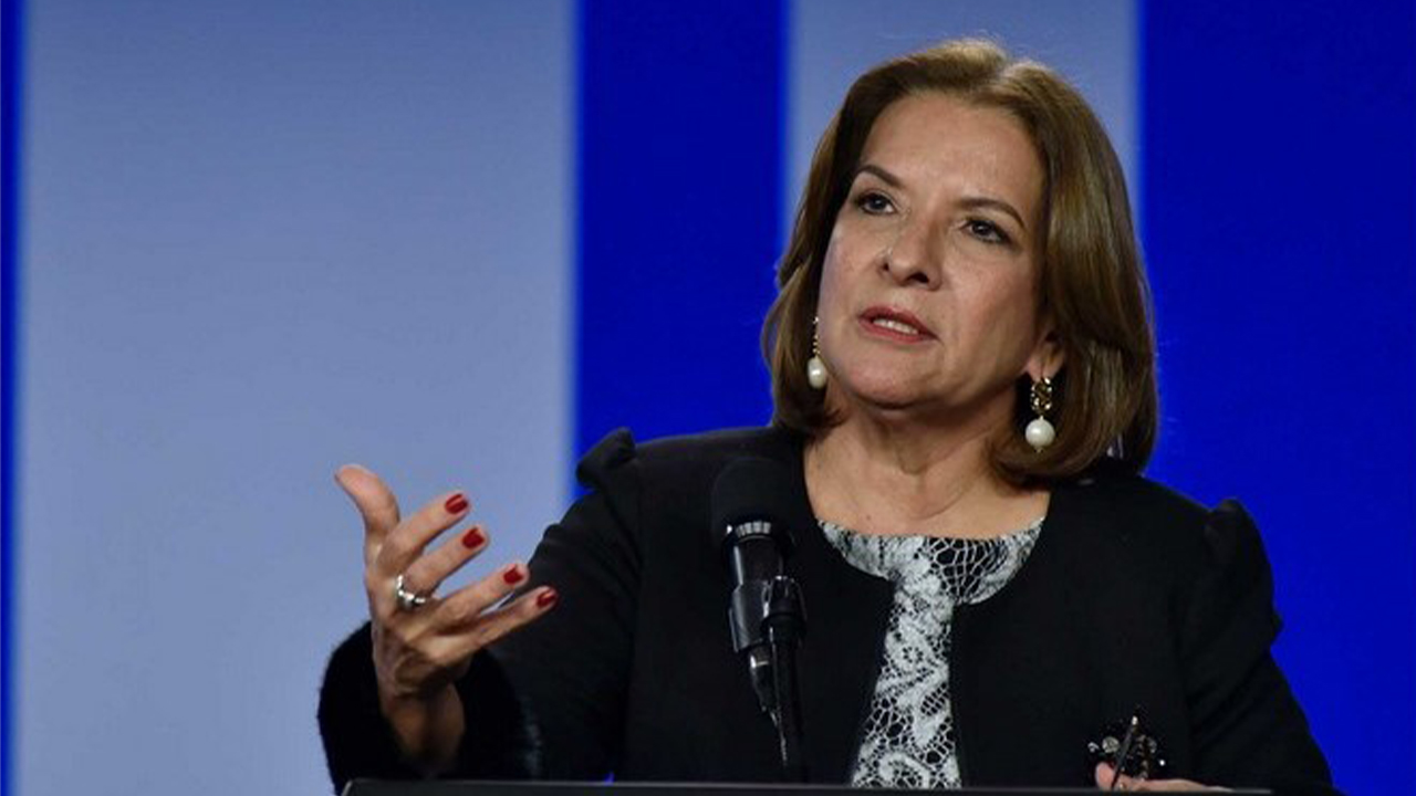 Procuradora alerta por deforestación de la Amazonía, un riesgo para la provisión de agua en el país