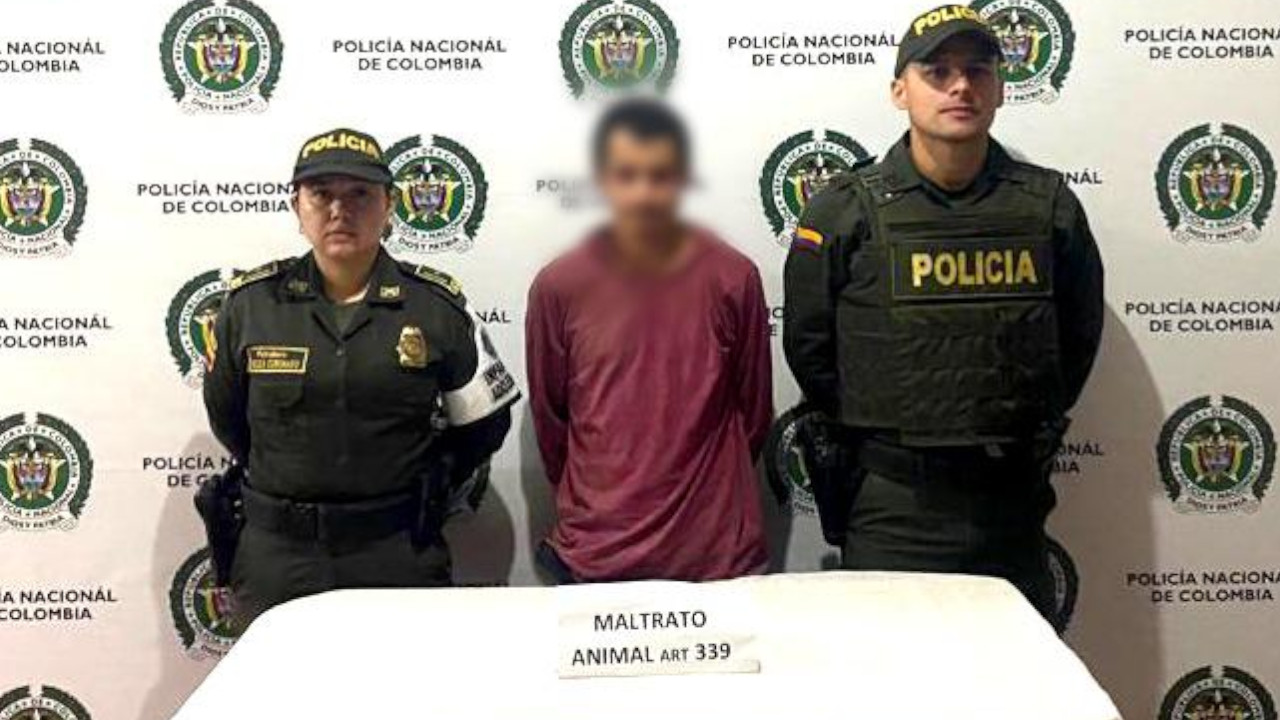 [FOTOS Y VIDEO] ¡Qué responda! Capturaron a un sujeto que habría matado a un perrito a machete en Antioquia