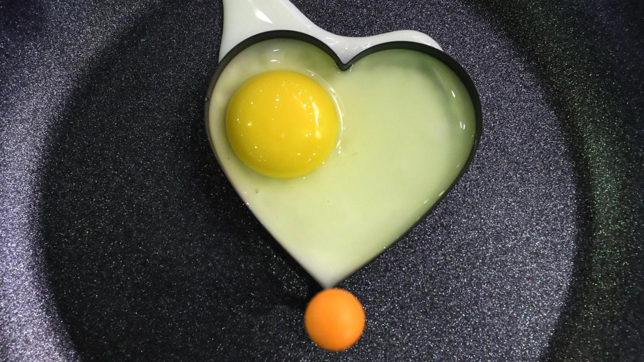 Carne, huevos y leche son nutrientes esenciales en una dieta sana, según FAO