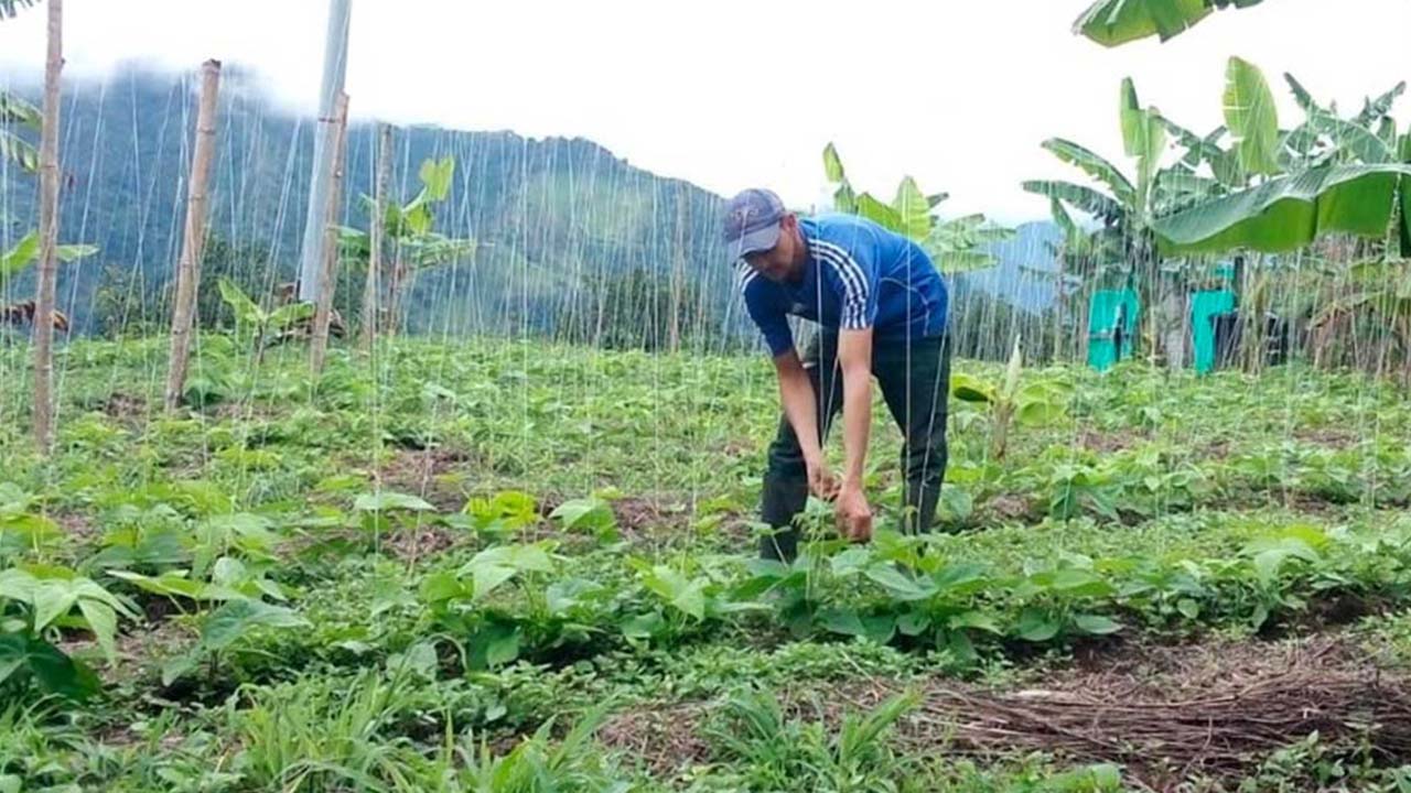 Resultados del Gobierno en el acceso a la tierra y formalización de predios son preocupantes: Procuraduría