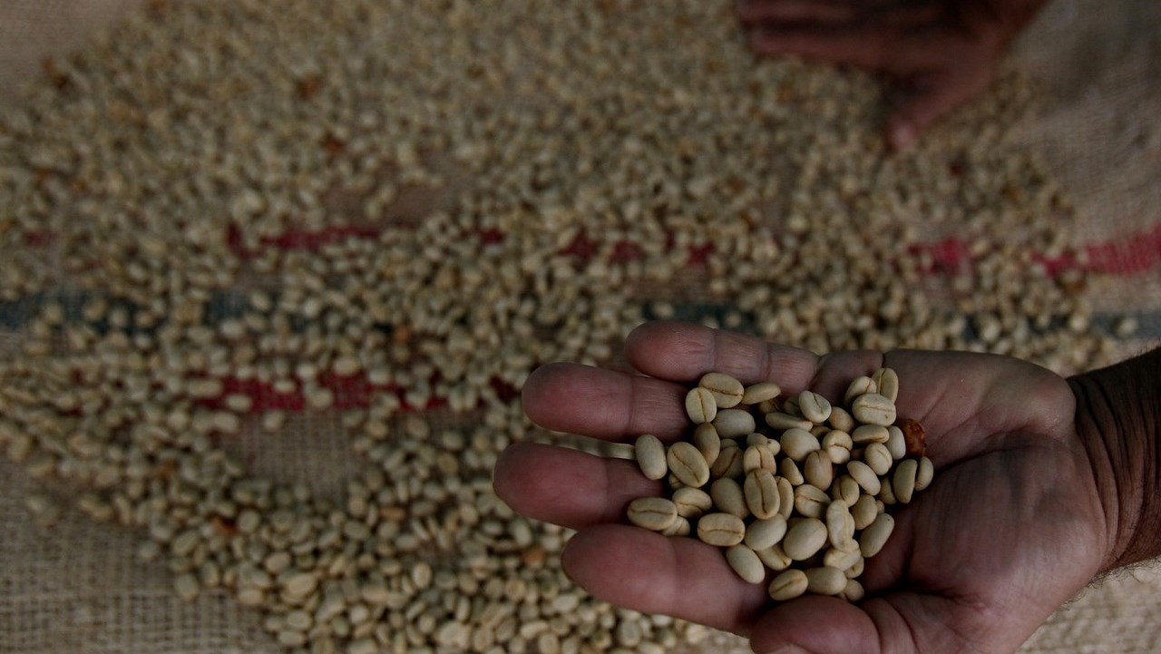 Café colombiano alcanza un precio de 110,18 euros por libra en subasta internacional