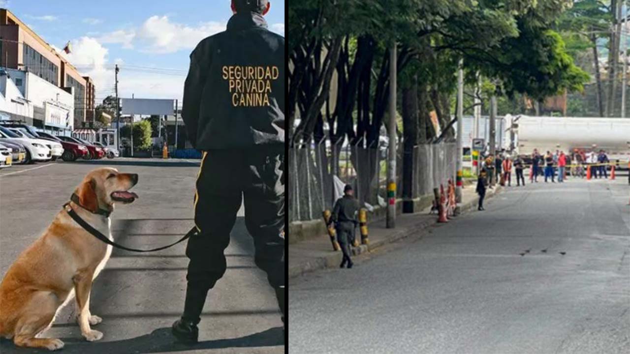 Por fortuna, solo fue una falsa alarma: Perro de seguridad, detectó posibles explosivos en Itagüí