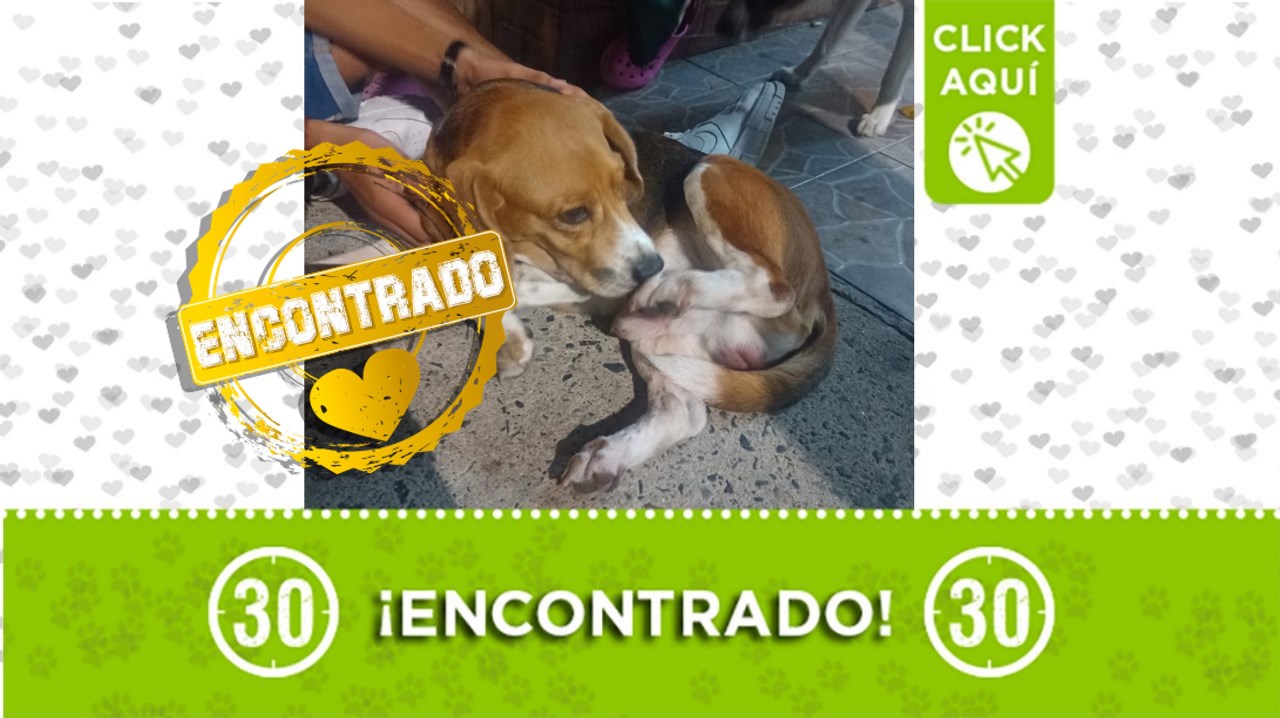 entregado la floresta