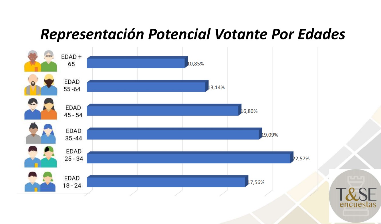 Ficha tecnica 4 Tecnologia y Servicios Electorales