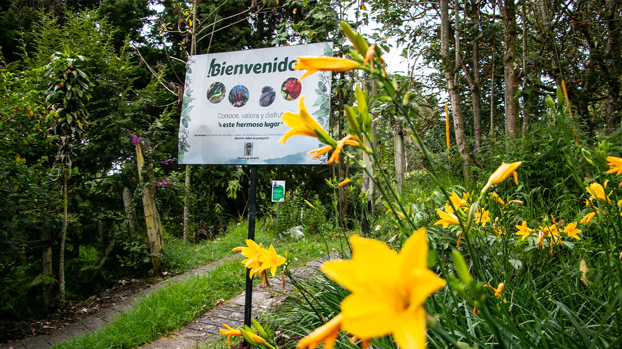 Con tres nuevas reservas naturales, el Distrito reitera su compromiso con la mitigación de los efectos del cambio climático