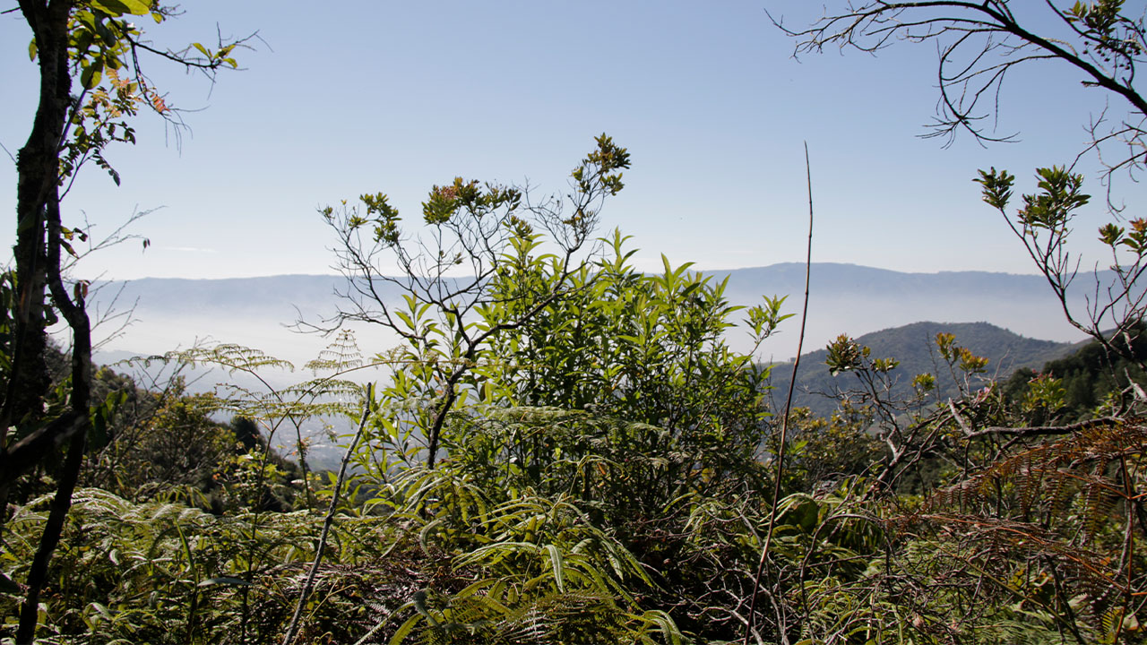 Con tres nuevas reservas naturales, el Distrito reitera su compromiso con la mitigación de los efectos del cambio climático