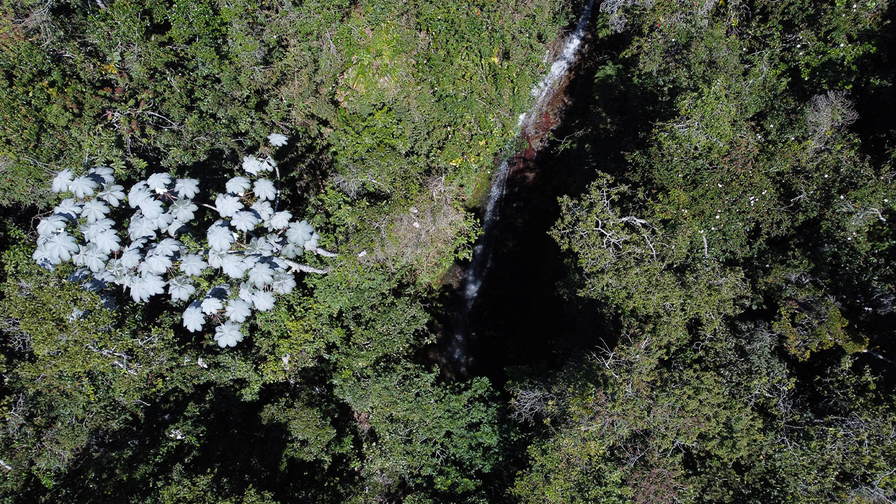 Con tres nuevas reservas naturales, el Distrito reitera su compromiso con la mitigación de los efectos del cambio climático