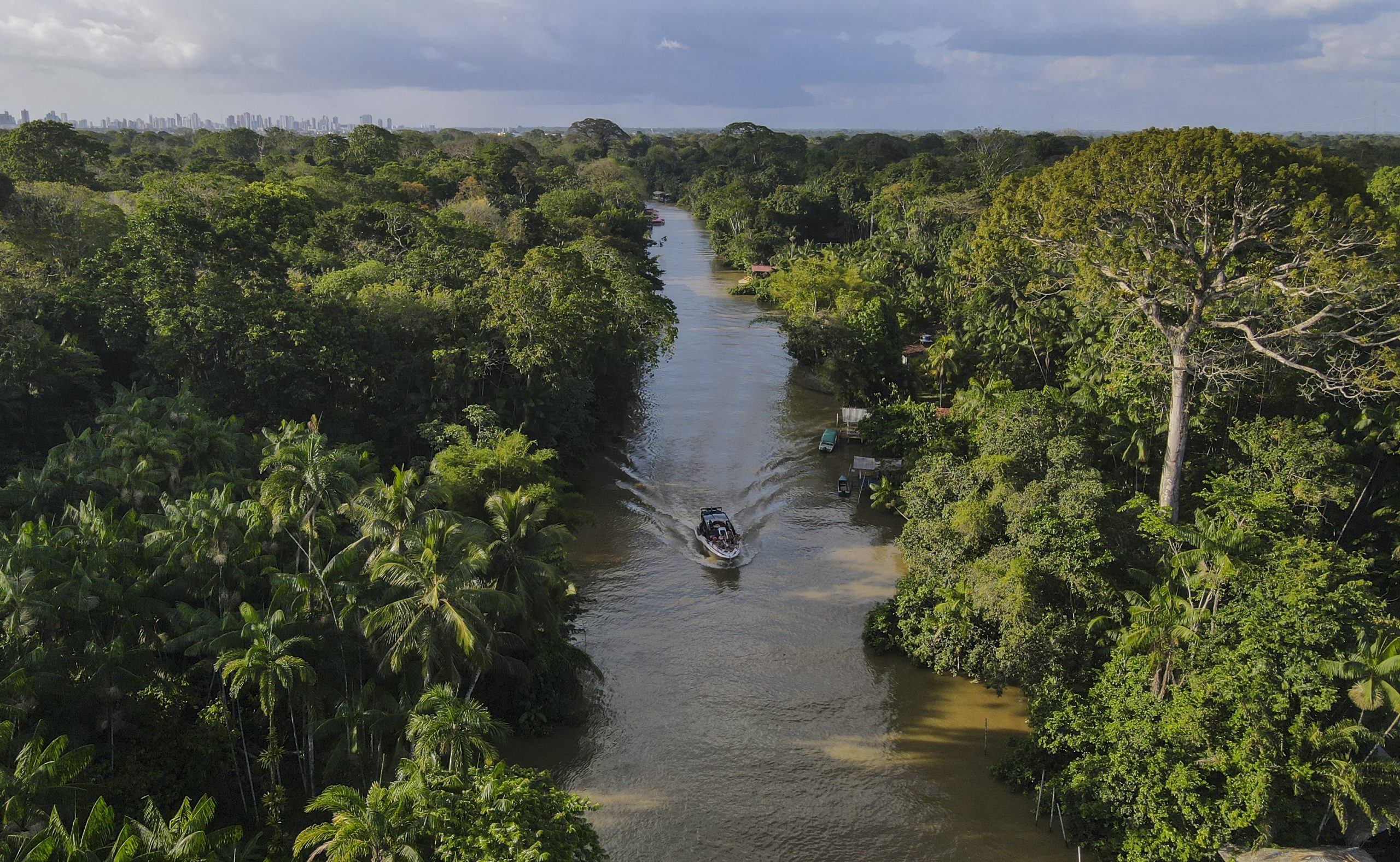 Los presidentes de la Amazonía se reúnen en Brasil para detener la ...