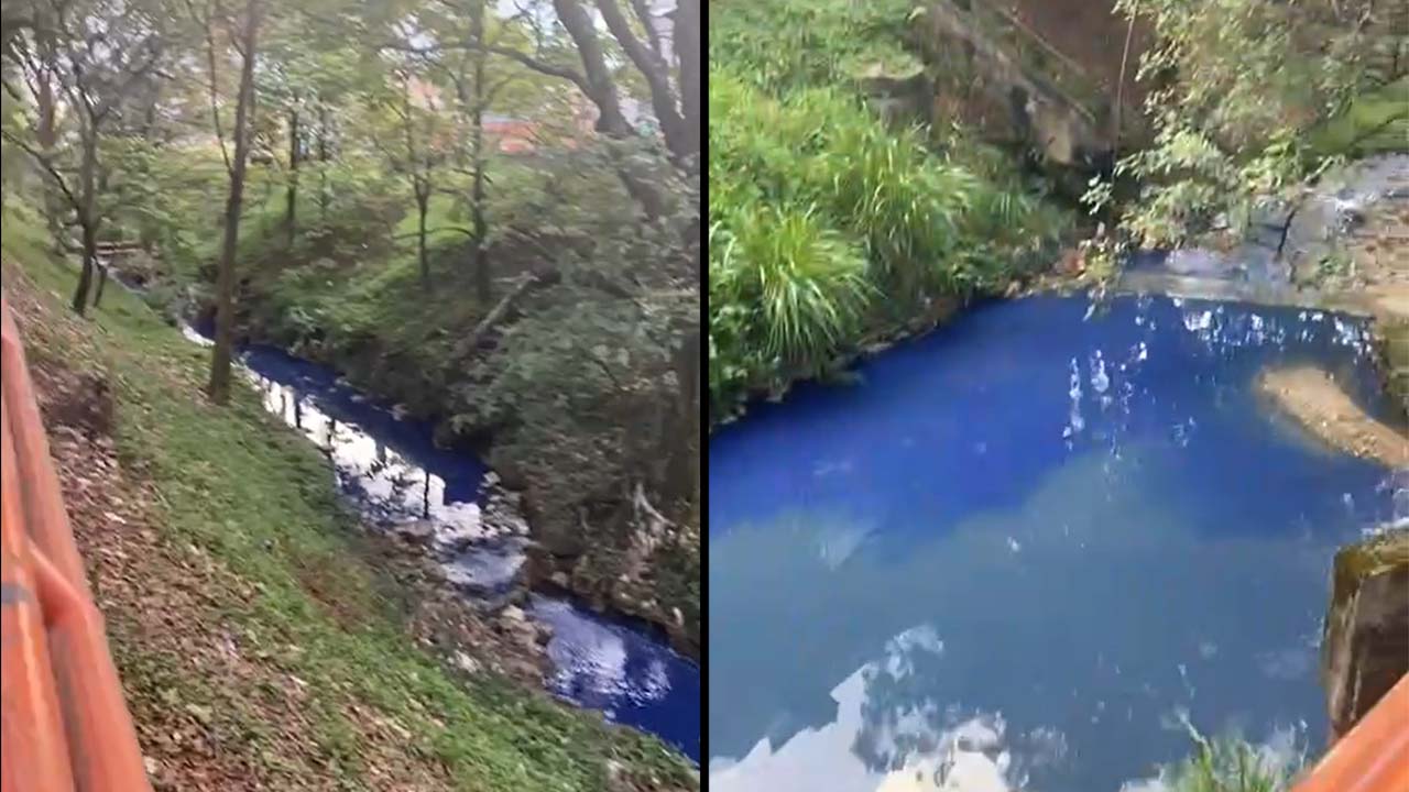 FOTOS Y VIDEO. ‘Amaneció azul’: Ciudadanos de Sabaneta  alertan sobre químicos arrojados en una quebrada del  municipio