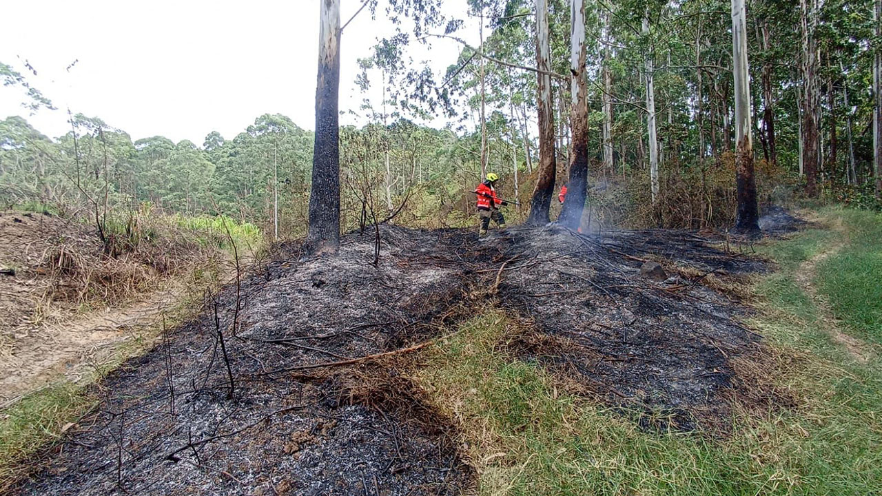 Rápida acción de Bomberos Medellín permitió controlar incendios de cobertura vegetal en dos puntos de la ciudad