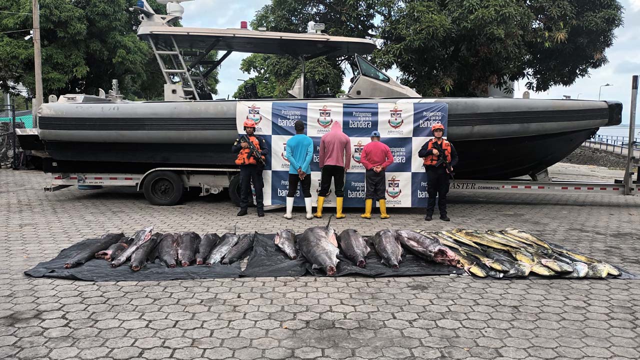 Fueron incautados 700 kilos de pesca ilegal en el Pacífico colombiano