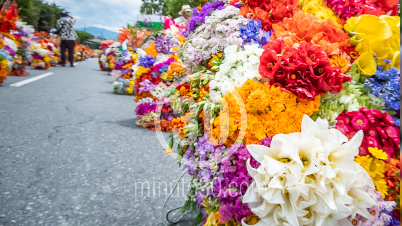 En FOTOS y VIDEO , así se vivió el Desfile de Silleteros en Medellín 11 silletero10