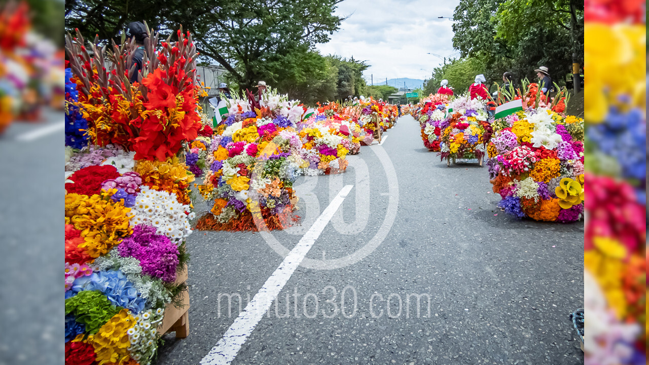 En FOTOS y VIDEO , así se vivió el Desfile de Silleteros en Medellín 12 silletero11