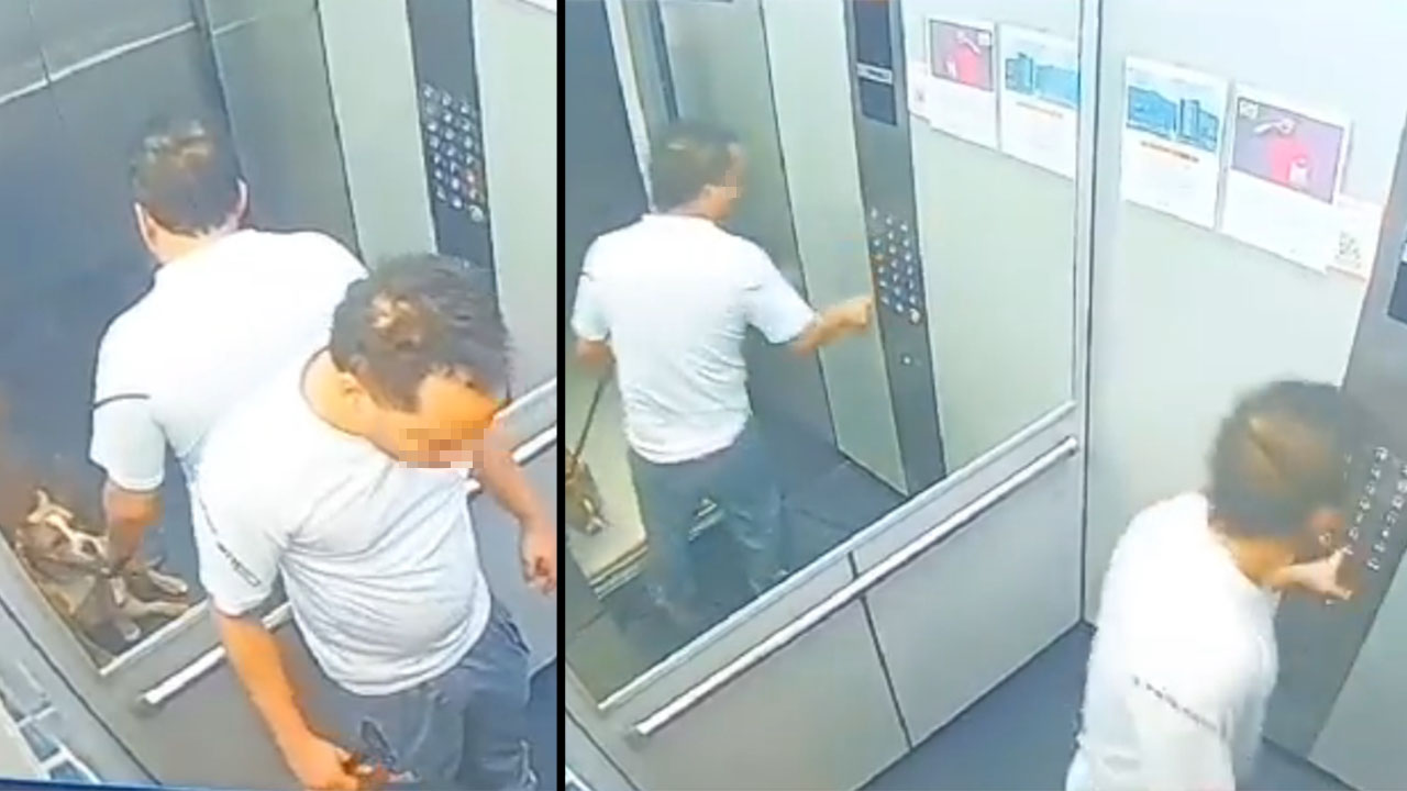 ¡Indignante maltrato! Hombre golpeó a perrito hasta que se casó dentro de un ascensor en Itagüí