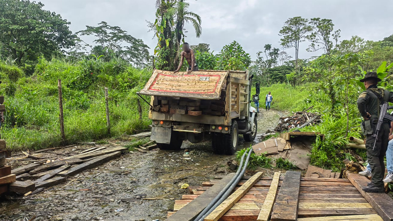 Mucha madera talada ilegalmente fue recuperada en el Chocó, capturaron a un hombre