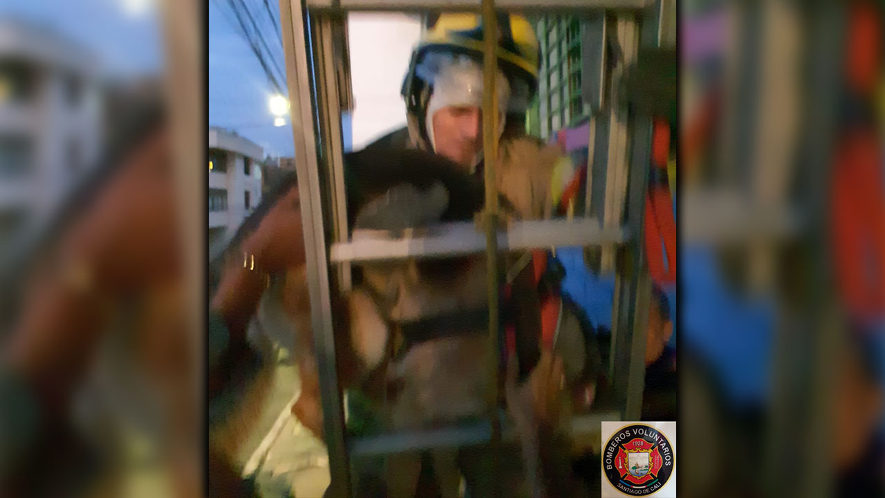 Perrito fue rescatado del techo de un segundo piso