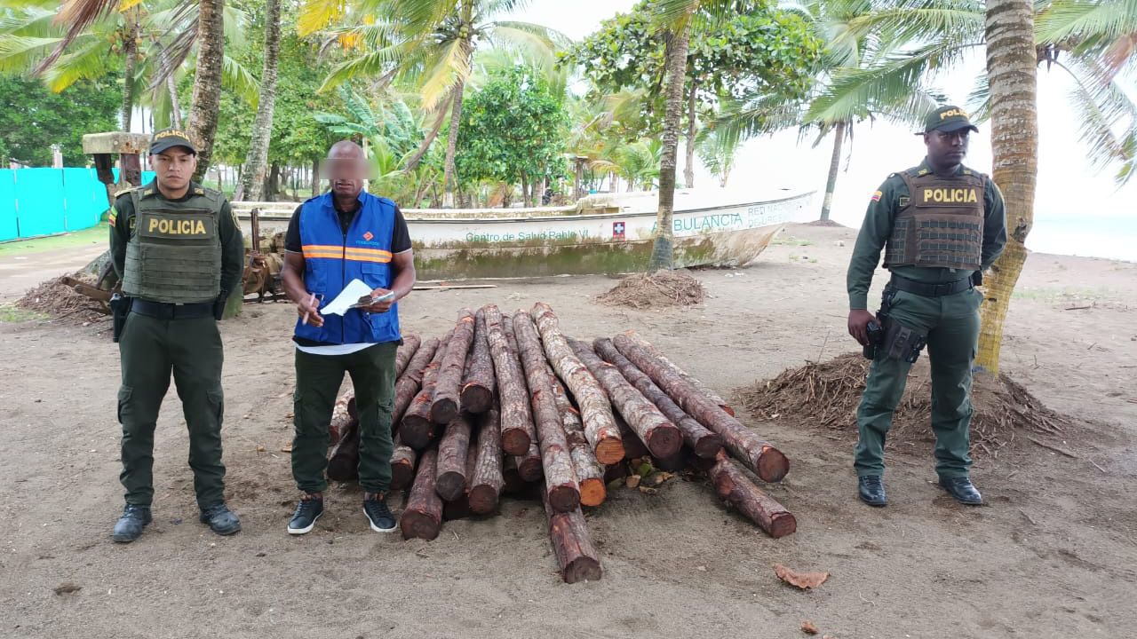 Mucha madera talada ilegalmente fue recuperada en el Chocó, capturaron a un hombre