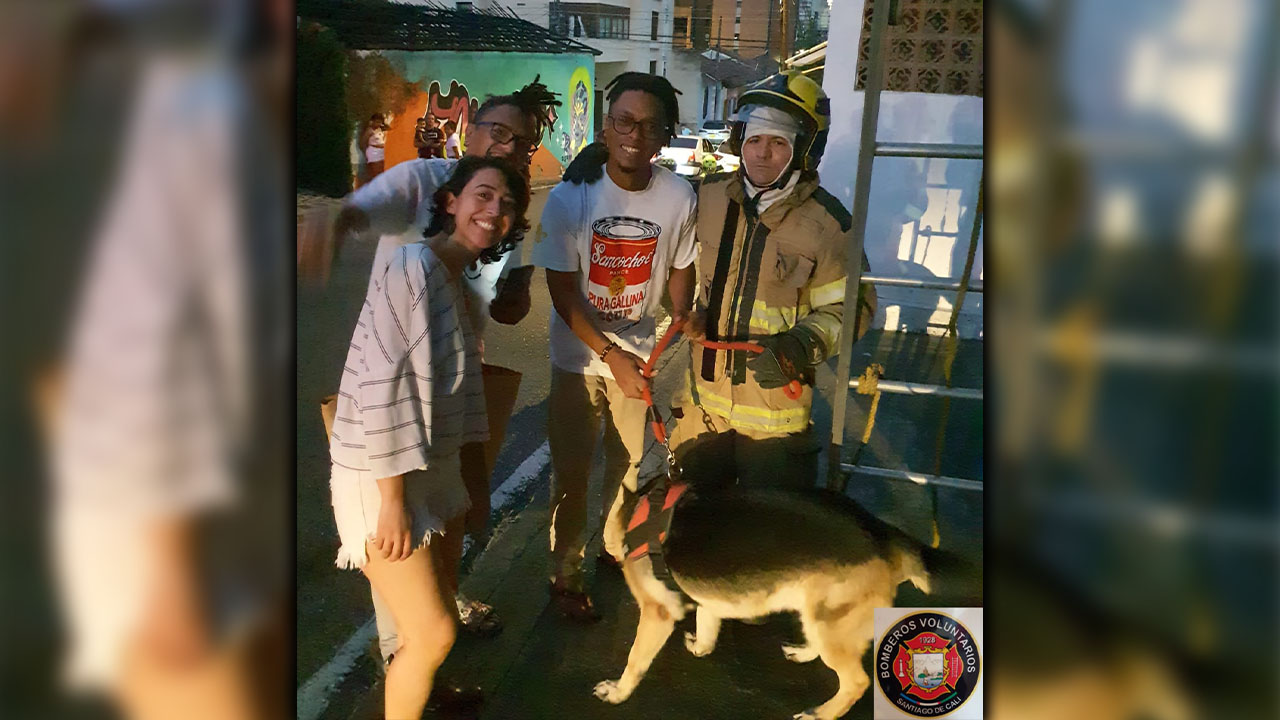 Perrito fue rescatado del techo de un segundo piso