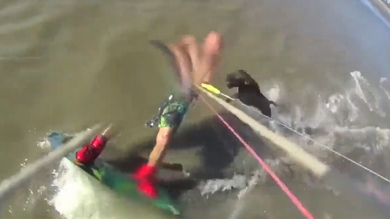 Impresionante ataque de un pitbull a un surfista cuando practicaba sobre las olas en una playa de Argentina