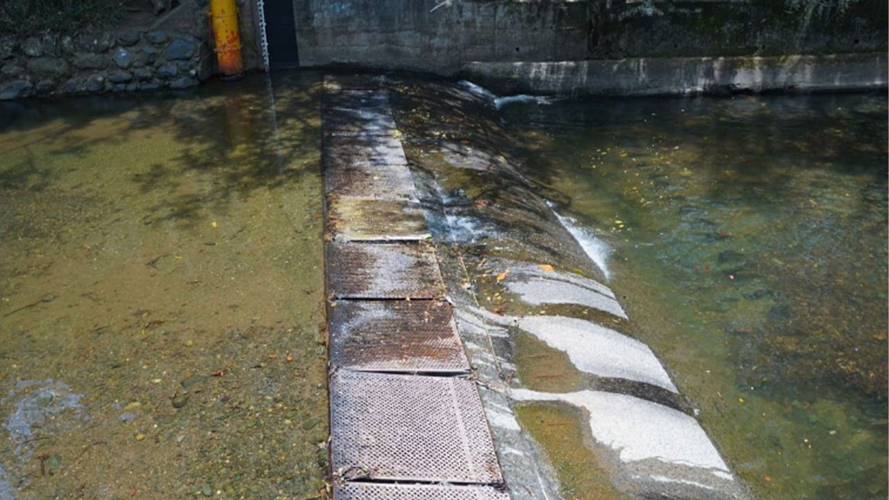 Bajo caudal en los ríos de Cali y Meléndez causa preocupación