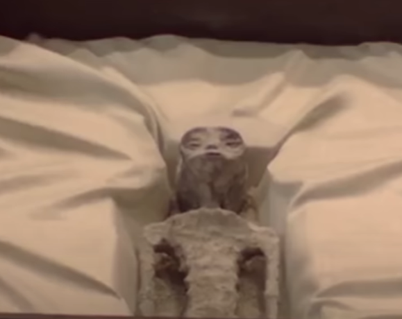 oto captura video de audiencia México, cuerpos de seres no humanos