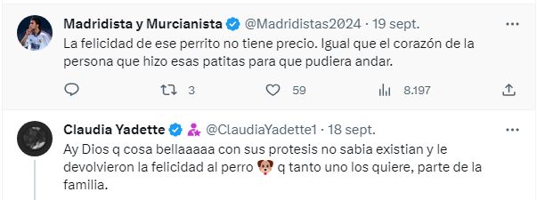 Perrita sin paticas delanteras da por primera vez pasos con prótesis