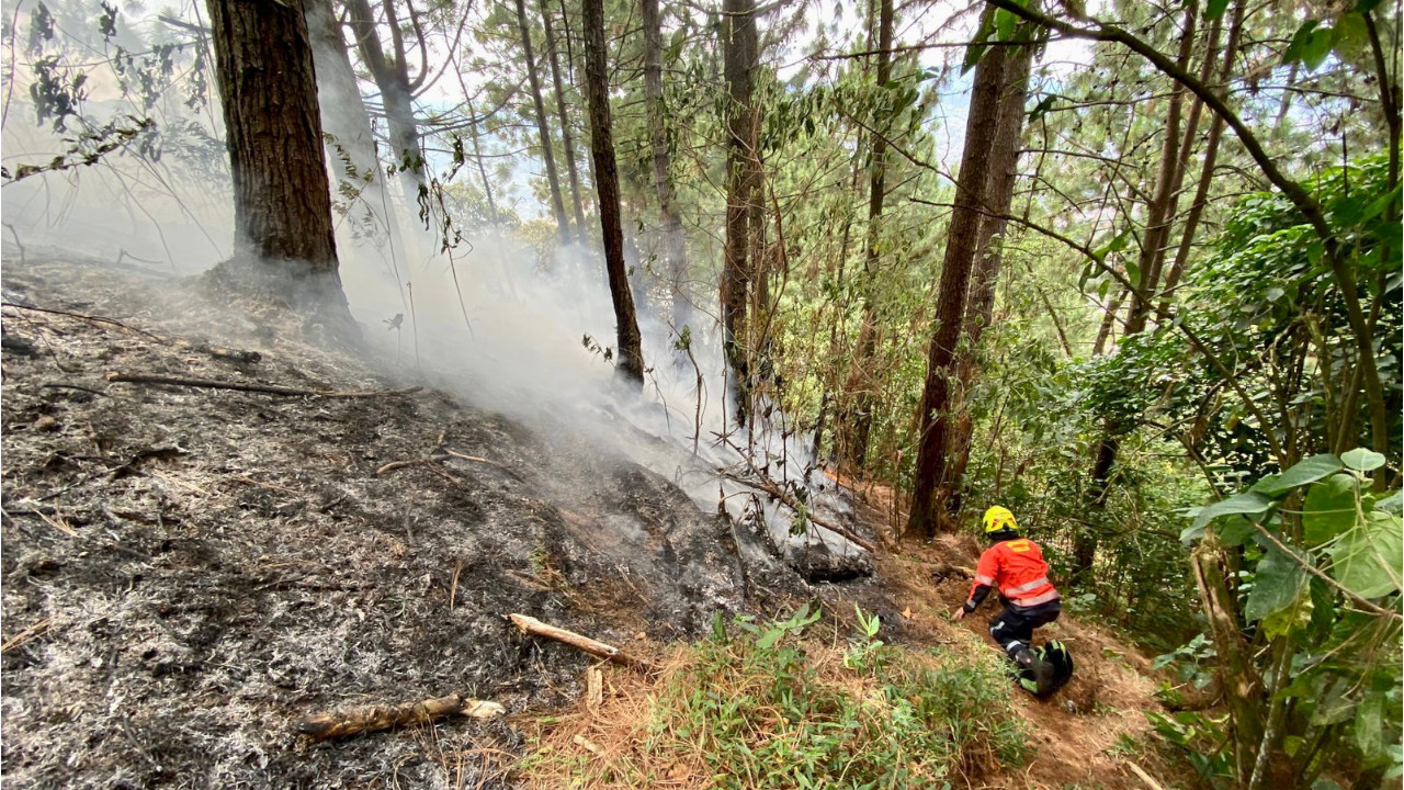 Incendios de cobertura vegetal en Medellín fueron controlados