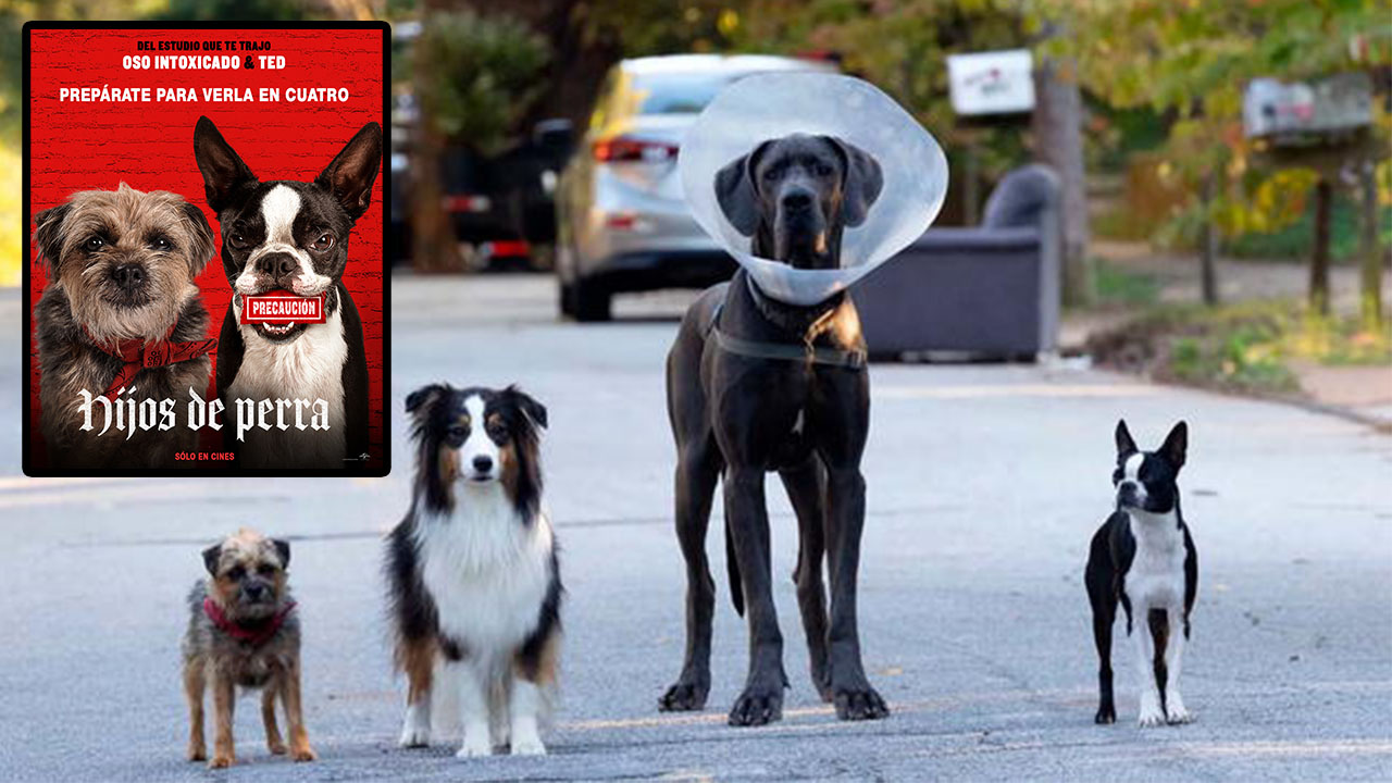 "Hijos de Perra" una película no apta para niños